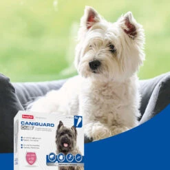 BEAPHAR Pipeta Caniguard Duo Solución Spot-On Para Perros De 4-10 Kg (67 Mg/600 Mg) -Suministros Para Perros 8711231170432 4 64c78c207f6b2