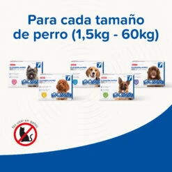 BEAPHAR Pipeta Caniguard Duo Solución Spot-On Para Perros De 4-10 Kg (67 Mg/600 Mg) -Suministros Para Perros 8711231170432 5 64c78c2080fe1