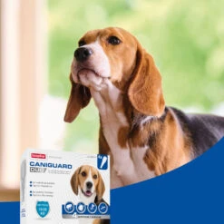 BEAPHAR Pipeta Caniguard Duo Solución Spot-On Para Perros De 10-20 Kg (134 Mg/1200 Mg) -Suministros Para Perros 8711231170449 4 64c78c3abdf7a