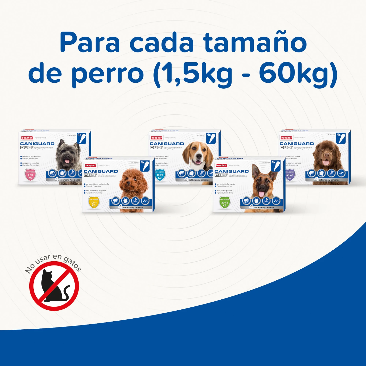 BEAPHAR Pipeta Caniguard Duo Solución Spot-On Para Perros De 20-40 Kg (268 Mg/2.400 Mg) 6 BEAPHAR Pipeta Caniguard Duo Solución Spot-On Para Perros De 20-40 Kg (268 Mg/2.400 Mg) - Imagen 6