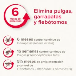 BEAPHAR Canishield Collar Antiparásitos Para Perros Grandes (1,04 G) -Suministros Para Perros 8711231172337 2 64c78c99e5d2c