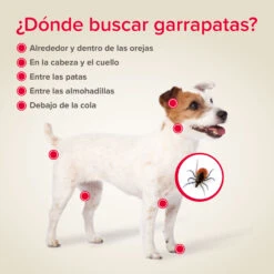 BEAPHAR Collar Canishield Antiparásitos Para Perros Pequeños -Suministros Para Perros 8711231172344 4 64c78cbf21154