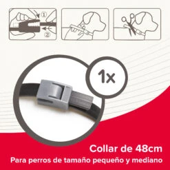 BEAPHAR Collar Canishield Antiparásitos Para Perros Pequeños -Suministros Para Perros 8711231172344 5 64c78cbf22ab1