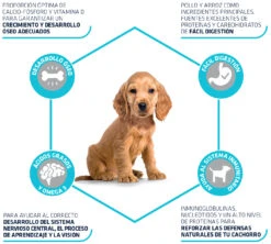 Advance Baby Protect Medium Puppy -Suministros Para Perros 95246 3 3
