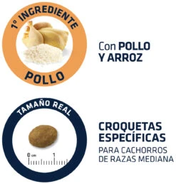 Advance Baby Protect Medium Puppy -Suministros Para Perros 95246 4 4