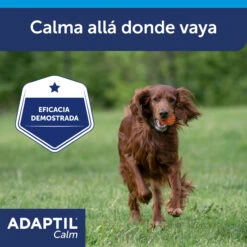 Adaptil Calm On-the-go Collar Para Perros -Suministros Para Perros ADAPTIL Calm Collar ML Carousel 7 649ad29a9d10c