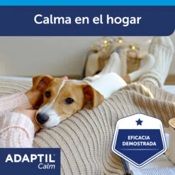 Adaptil Difusor + Recambio - Tranquilizante Feromonas Para Perro -Suministros Para Perros ADAPTIL Calm diffuser carousel 6 649ad2ebee4c5