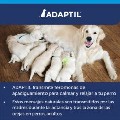 Adaptil Difusor + Recambio - Tranquilizante Feromonas Para Perro -Suministros Para Perros ADAPTIL Calm diffuser carousel 9 649ad2ec00c67