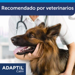 Adaptil Recambio - Tranquilizante Feromonas Para Perro -Suministros Para Perros ADAPTIL Calm refill carousel 8 649ad32039284