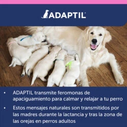 Adaptil Collar Junior -Suministros Para Perros ADAPTIL Junior carousel 10 649ad36bb26b4