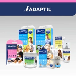 Adaptil Collar Junior -Suministros Para Perros ADAPTIL Junior carousel 11 649ad36bb4008