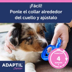 Adaptil Collar Junior -Suministros Para Perros ADAPTIL Junior carousel 5 649ad36ba9fe5