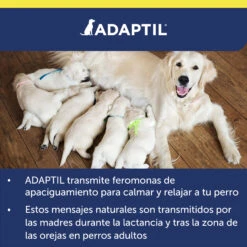 Adaptil Spray Especial Viajes Para Perros -Suministros Para Perros ADAPTIL Transport Spray60ML carousel 9 649ad38ed7a7e