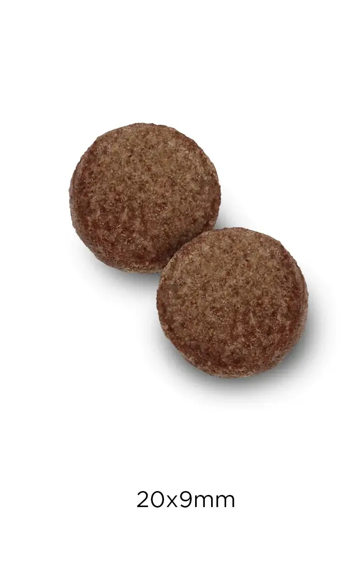 Adult Large Pollo Y Patata Grain Free 2 Adult Large Pollo Y Patata Grain Free - Imagen 2