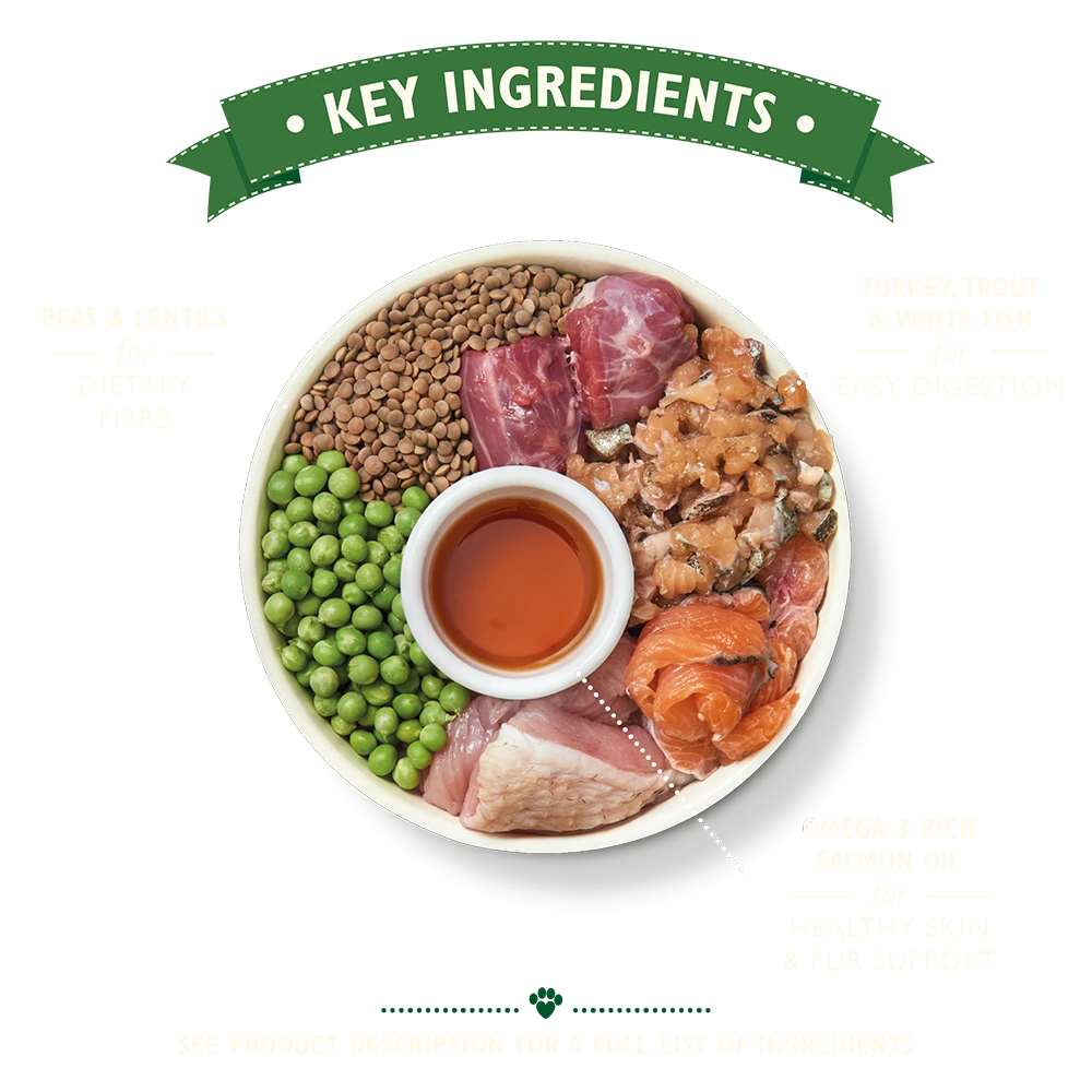 Lily's Kitchen Pienso Pavo Y Trucha Senior 3 Lily's Kitchen Pienso Pavo Y Trucha Senior - Imagen 3