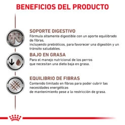 ROYAL CANIN Pack 12 Comida Húmeda Gastro Intestinal Low Fat Canine -Suministros Para Perros BEENFICIOS 62fcc2dd1480b