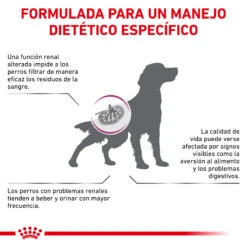 ROYAL CANIN Renal Select Canine 13 ROYAL CANIN Renal Select Canine -Suministros Para Perros BENEFICIOS 1 62fccaa64acac