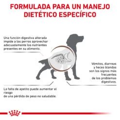ROYAL CANIN Gastro Intestinal Canine -Suministros Para Perros BENEFICIOS 62fcc161c7845