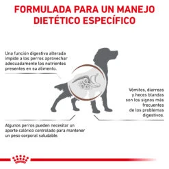 ROYAL CANIN VD Canine Gastro Intestinal Moderate Calorie -Suministros Para Perros BENEFICIOS 62fcc1fb3bcdf
