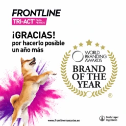 Frontline Pipetas Tri-Act Solució Spot-On Para Perros De 2-5 Kg 10 Frontline Pipetas Tri-Act Solució Spot-On Para Perros De 2-5 Kg -Suministros Para Perros Brand 6267f6263aa43
