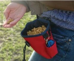 Bolsa Para Premios Clix Treat Bag -Suministros Para Perros COA Treat Bag PP MG 6 62331e9a5c7d0