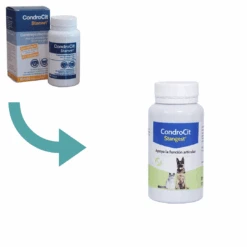 Condroproctector Para Perros Y Gatos Condrocit