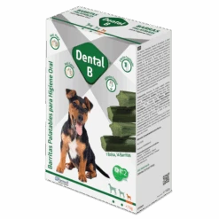 Dental B