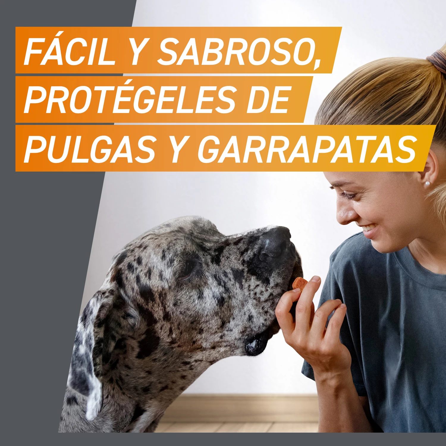 Comprimidos Masticables Antisitarios Perros De 25 A 50 Kg (11 Mg) 7 Comprimidos Masticables Antisitarios Perros De 25 A 50 Kg (11 Mg) - Imagen 7