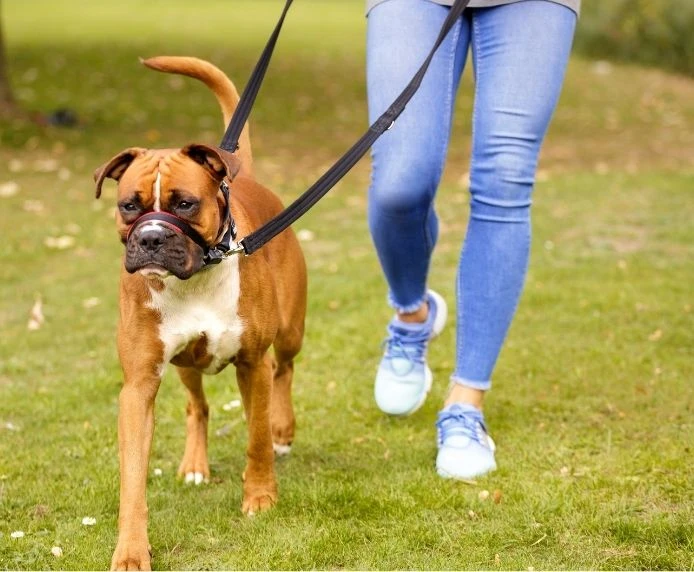 Bozal Antitirones Acolchado Optifit 2 Bozal Antitirones Acolchado Optifit - Imagen 2