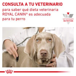 ROYAL CANIN Early Renal 14 ROYAL CANIN Early Renal -Suministros Para Perros INFO 62fcc9e8e873c