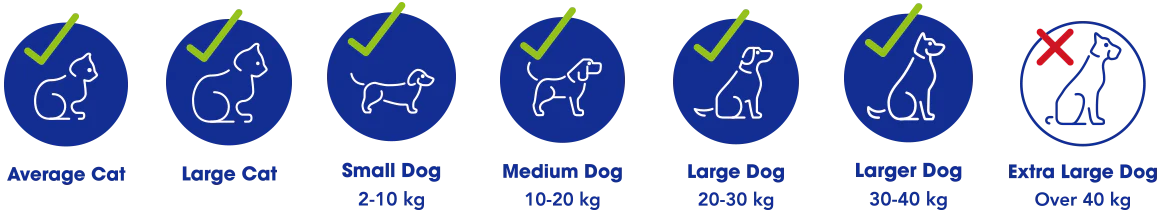 PET MATE Puerta Acceso Sencilla Perro Grande 4 PET MATE Puerta Acceso Sencilla Perro Grande - Imagen 4