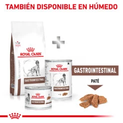 ROYAL CANIN Gastro Intestinal Canine -Suministros Para Perros MIX FEEDING 62fcc15bbe922