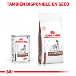 ROYAL CANIN Comida Húmeda Gastro Intestinal Canine 10 ROYAL CANIN Comida Húmeda Gastro Intestinal Canine -Suministros Para Perros MIX FEEDING 62fcc2751a8bd