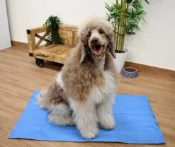 Manta Refrescante Cool Mat Azul Light Para Perros Y Gatos -Suministros Para Perros Max Talla L 3 64819090d2320