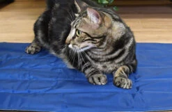 Manta Refrescante Cool Mat Azul Marino Para Perros Y Gatos -Suministros Para Perros Murphy el gato 8 648190279c161