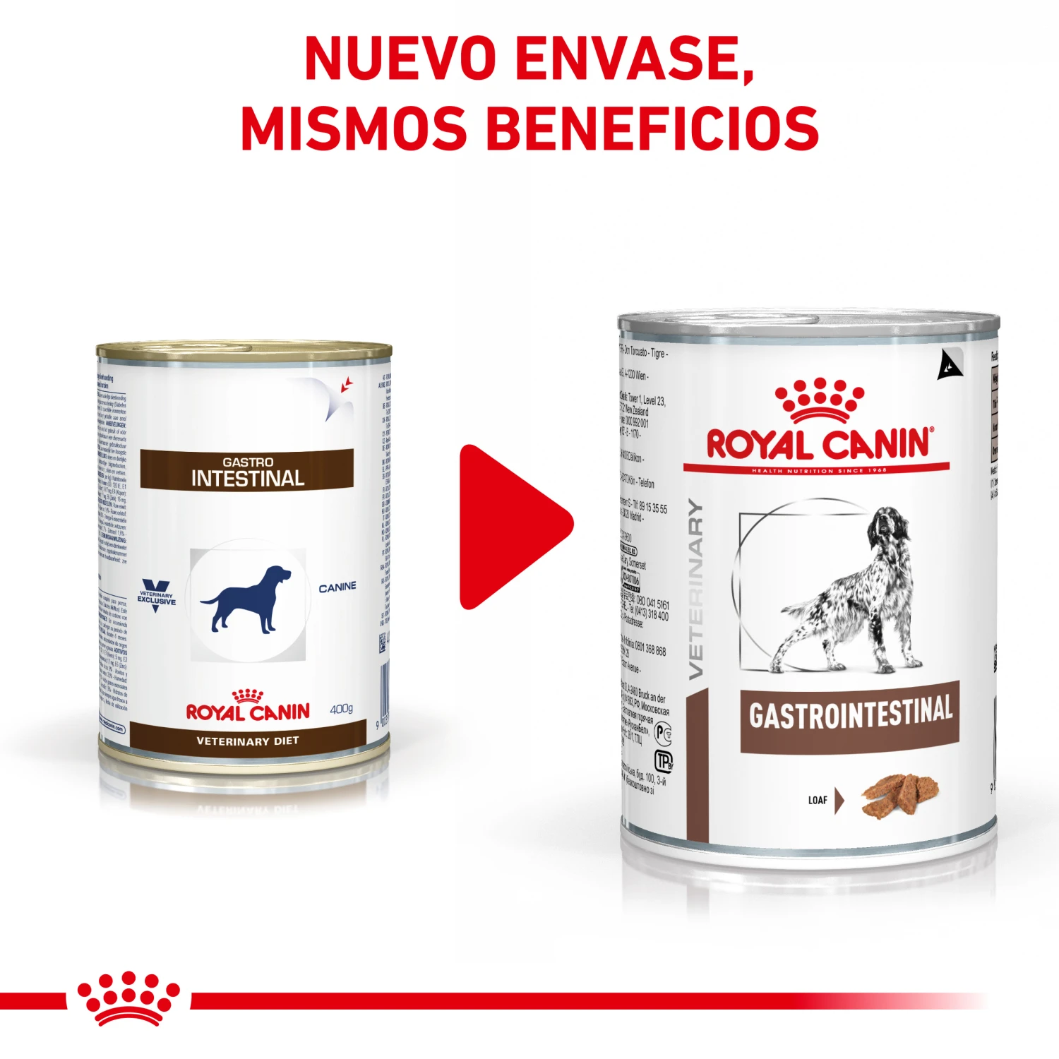 ROYAL CANIN Comida Húmeda Gastro Intestinal Canine 2 ROYAL CANIN Comida Húmeda Gastro Intestinal Canine - Imagen 2