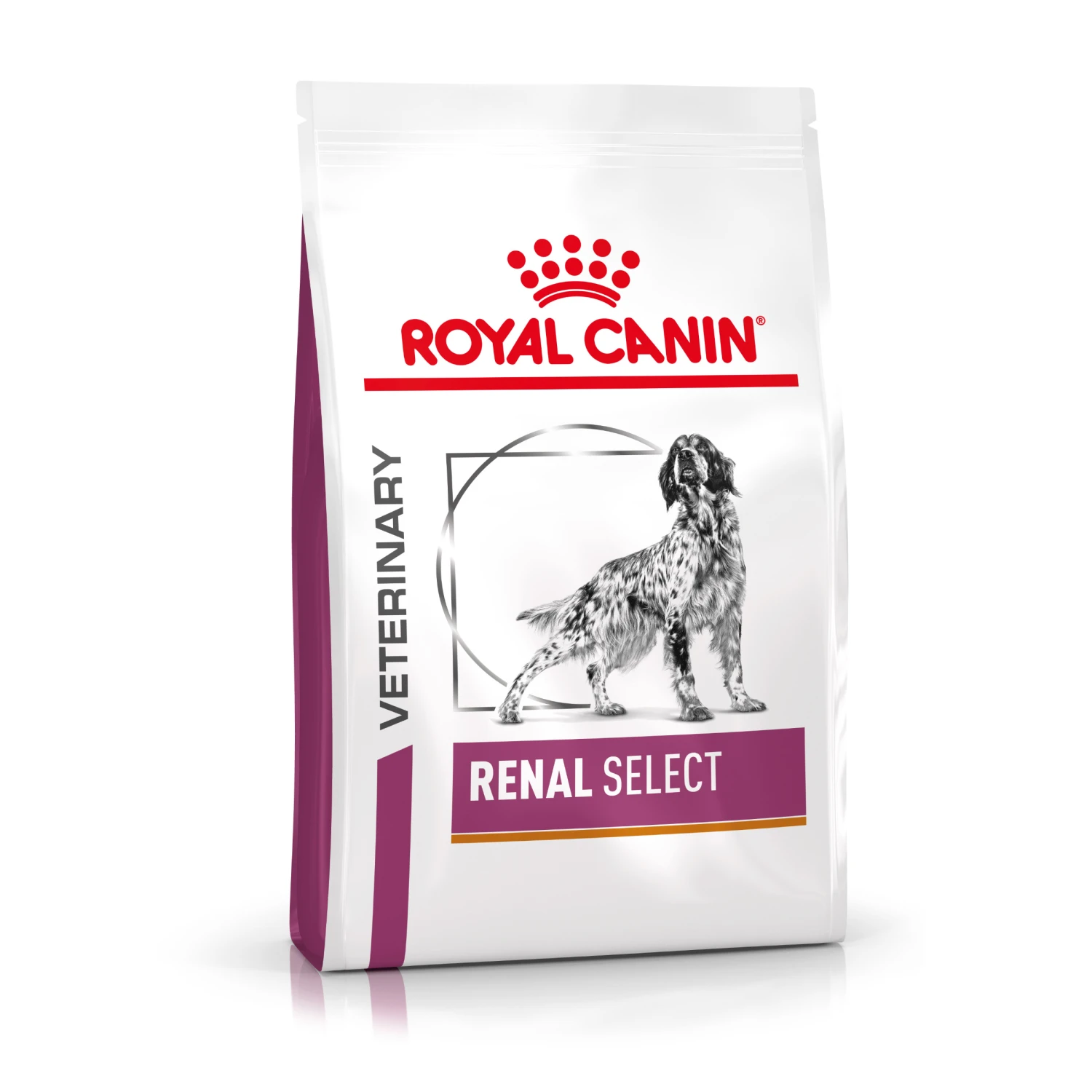 ROYAL CANIN Renal Select Canine 2 ROYAL CANIN Renal Select Canine - Imagen 2