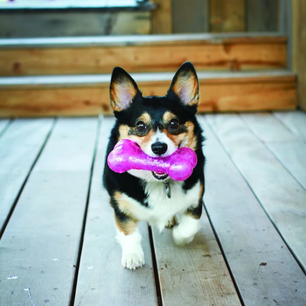 KONG Mordedor Stick Squeezz Crackle 4 KONG Mordedor Stick Squeezz Crackle - Imagen 4