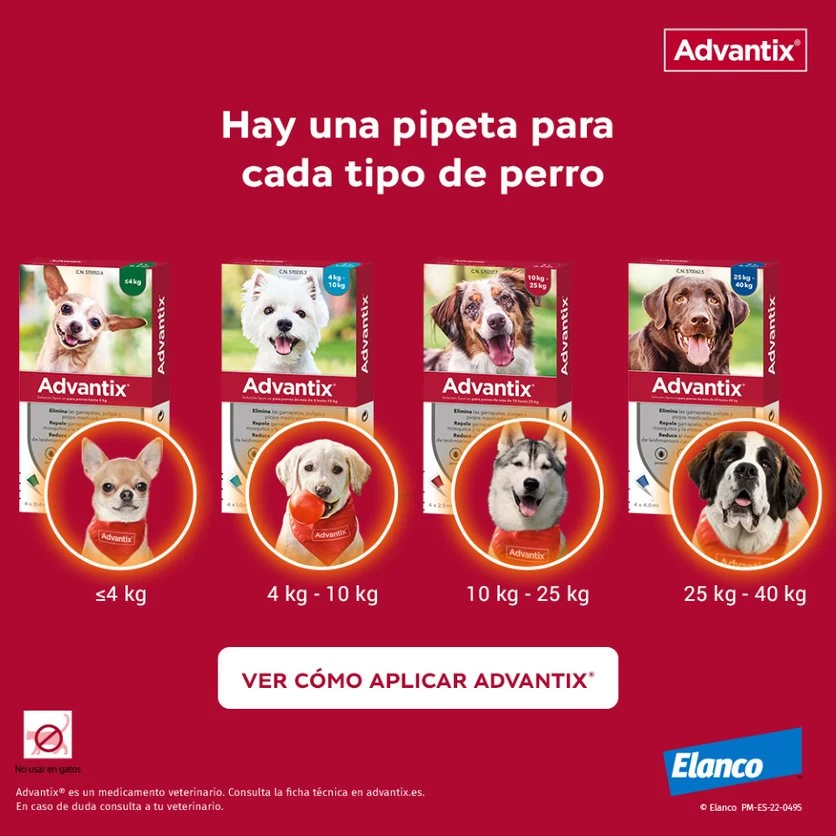 Advantix Pipetas Spot On Para Perro De Más De 25 Kg 2 Advantix Pipetas Spot On Para Perro De Más De 25 Kg - Imagen 2
