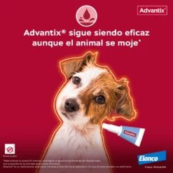 Advantix Pipetas Spot On Para Perro De 4-10 Kg -Suministros Para Perros Pipetas para Perro de Raza Toy 63ea6f277d37c