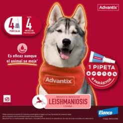 Advantix Pipetas Spot On Para Perro De Más De 25 Kg 12 Advantix Pipetas Spot On Para Perro De Más De 25 Kg -Suministros Para Perros Pipetas para Perro de Raza Toy advantix 63ea70062c65a