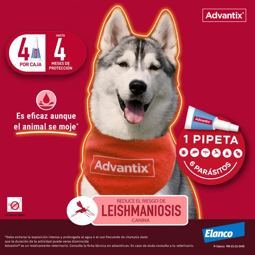 Advantix Pipetas Spot On Para Perro De Más De 25 Kg 5 Advantix Pipetas Spot On Para Perro De Más De 25 Kg - Imagen 5