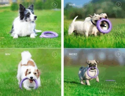 Puller -Suministros Para Perros Puller comp 62fe1109a1c04