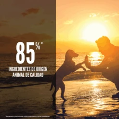 Orijen Puppy 9 Orijen Puppy -Suministros Para Perros Puppy 3 64c760bfdcb4b