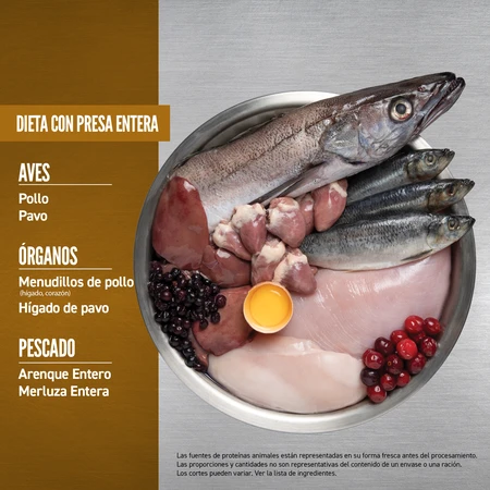 Orijen Puppy 4 Orijen Puppy - Imagen 4