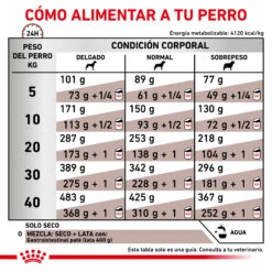 ROYAL CANIN Gastro Intestinal Canine -Suministros Para Perros RACIONAMIENTO 62fcc15d62a96