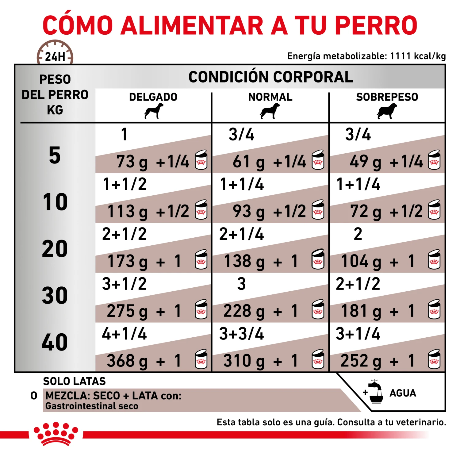 ROYAL CANIN Comida Húmeda Gastro Intestinal Canine 5 ROYAL CANIN Comida Húmeda Gastro Intestinal Canine - Imagen 5