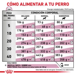 ROYAL CANIN Early Renal 15 ROYAL CANIN Early Renal -Suministros Para Perros RACIONAMIENTO 62fcc9ea2f8c3