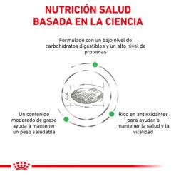 ROYAL CANIN VD Canine Diabetic -Suministros Para Perros RC VET DRY DogDiabetic CV Eretailkit 3 es ES 62fcdee0c73a5