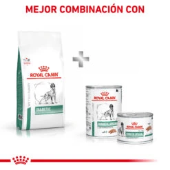 ROYAL CANIN VD Canine Diabetic -Suministros Para Perros RC VET DRY DogDiabetic CV Eretailkit 7 es ES 62fcdee47b1b3